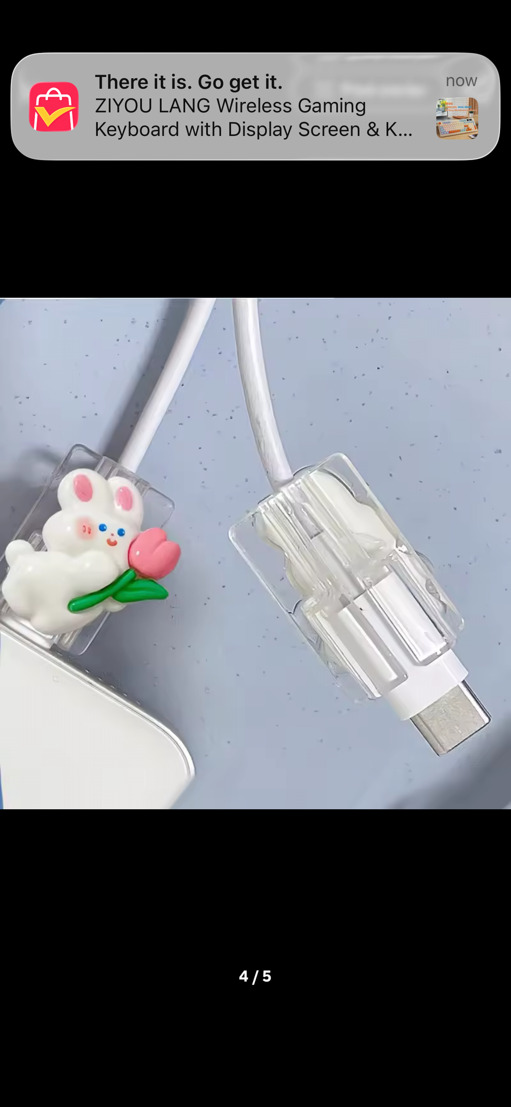The Pretty Plug™ Charger Protector